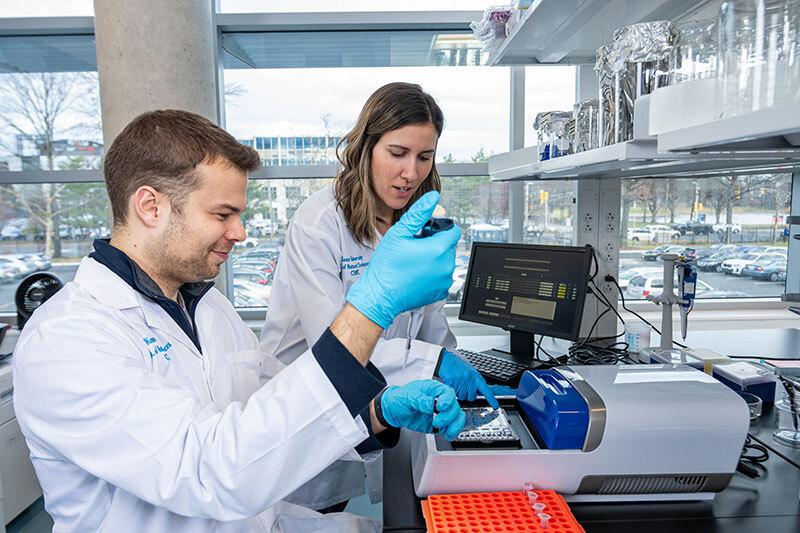 Two researchers working together in a lab