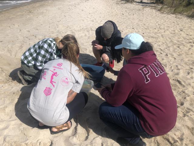 Students go to beaches and Barnegat Bay to do field work in environmental biology