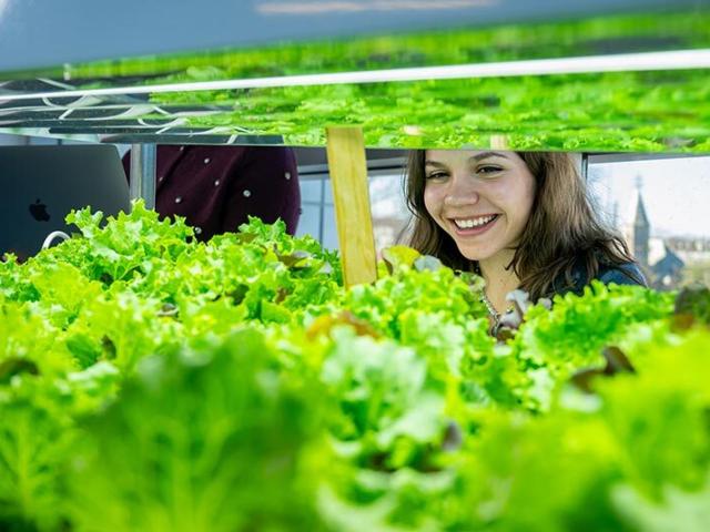 Researcher in plant lab