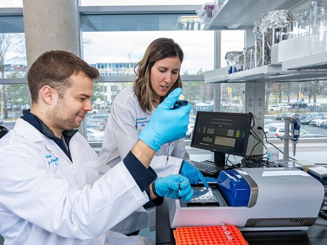 Two researchers working together in a lab