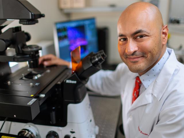 Dr. Kousa is pictured in a lab, at a microscope