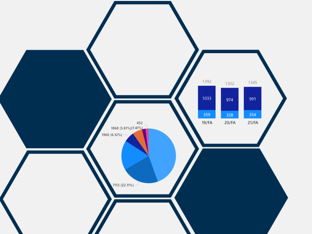 Student enrollment charts in honeycomb pattern