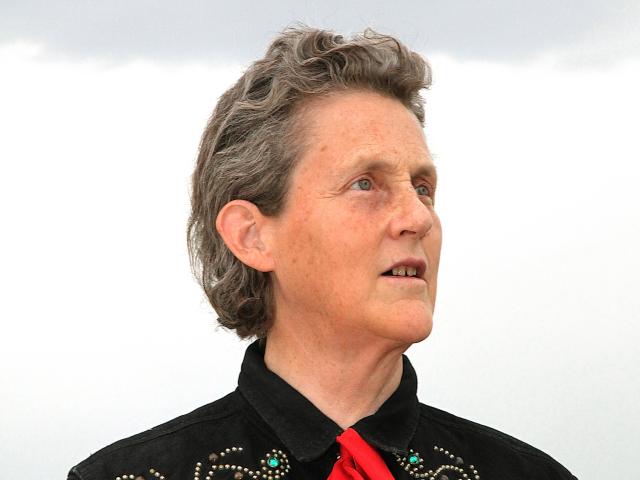 Portrait of Temple Grandin, renowned scientist and autism advocate, wearing a black Western-style shirt with intricate beaded designs and a red necktie. She has short, wavy grey hair and is looking off to the side