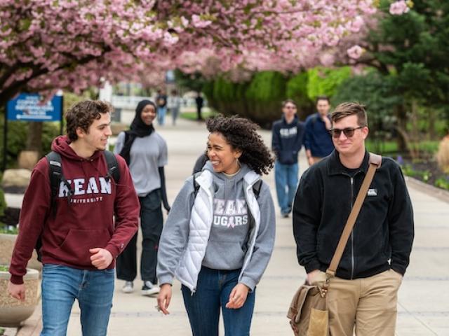 Kean students walk down Cougar Walk with cherry blossom trees in the background