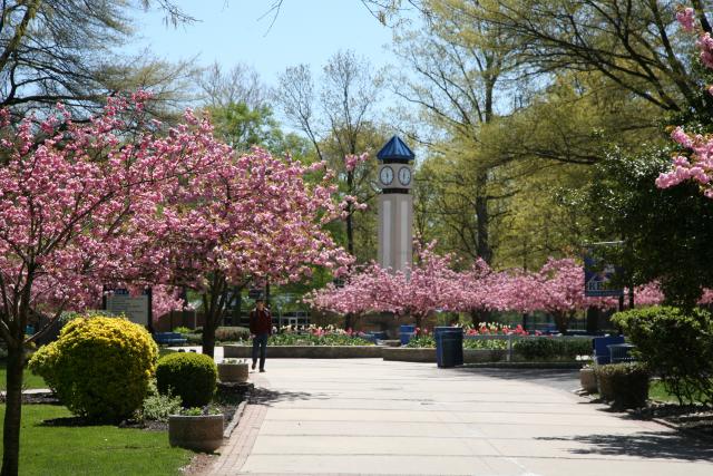 Clock tower through view of flowers