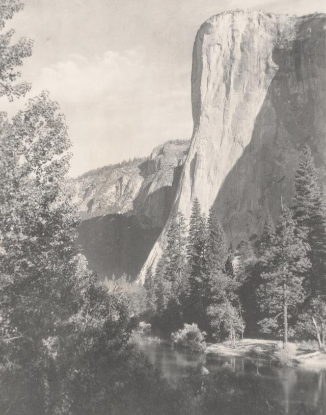 A black and white image of a mountain and greenery, like oak trees, around it.