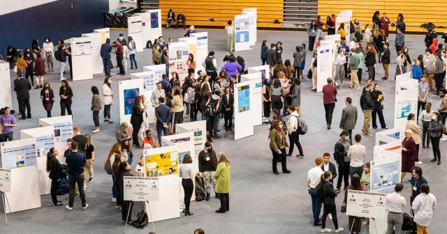 Students display research at Research Days 2022.