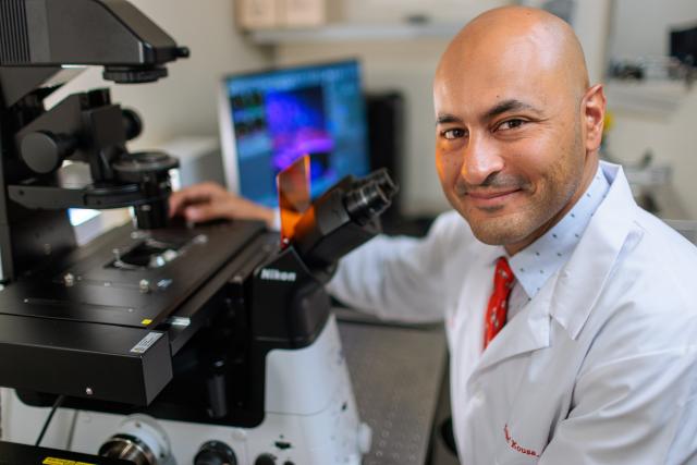 Dr. Kousa is pictured in a lab, at a microscope